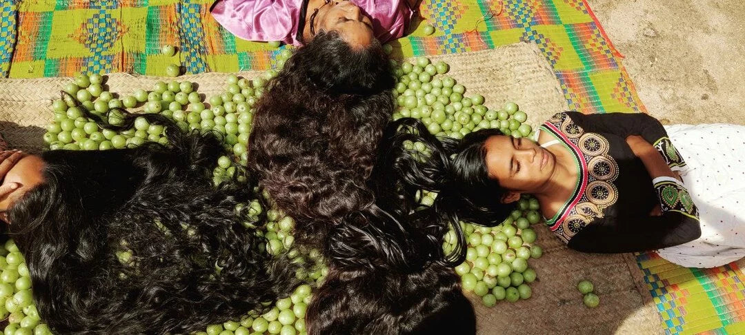Nitya Sanjeevini Adivasi Herbal Hair Oil ✅👉